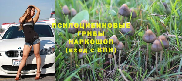 трава Надым